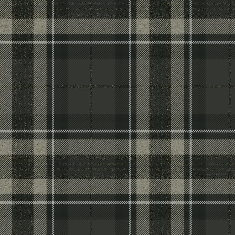 Spirit of Loch Fyne Tartan